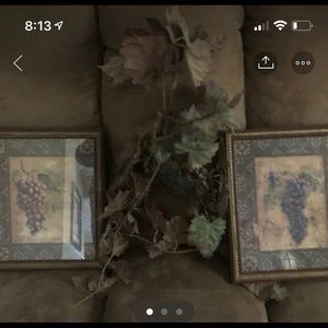 Pictures with grapevine